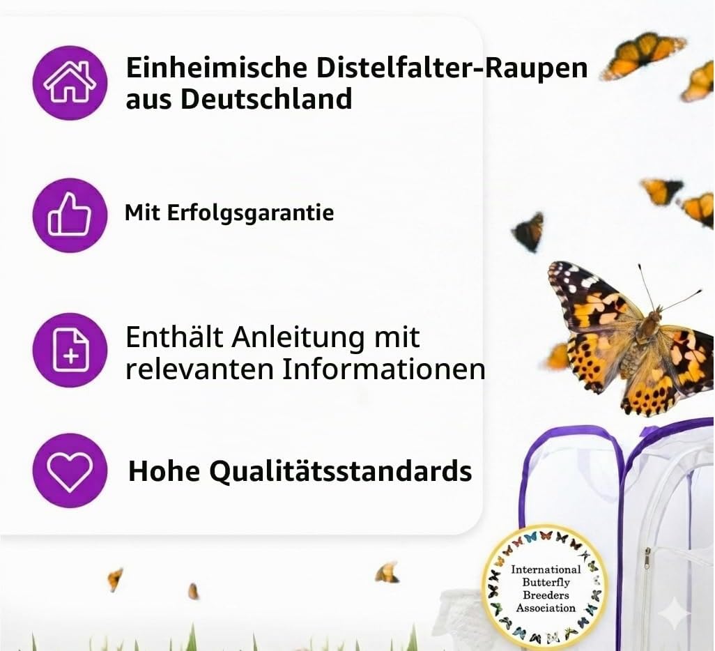 Schmetterlingszucht-Set für Kinder/Erwachsene | Schmetterlinge züchten [Erfolgsgarantie] | Heimische