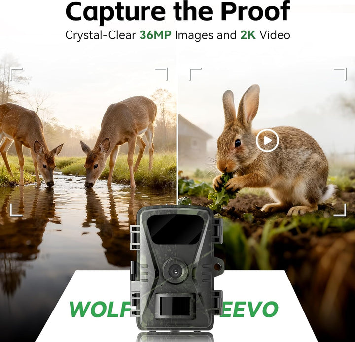 Trail-Kamera, 2026 Neues Upgrade 36MP 2K 0.1S Trigger Motion Activated, Game Camera with Night Visio