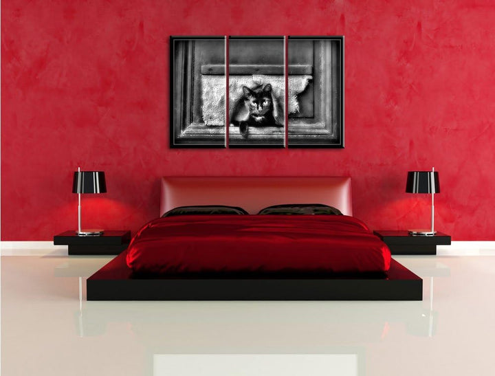 Pixxprint Monocrome, Schwarze Katze durch Hundeklappe 3-Teiler Leinwandbild 120x80 Bild auf Leinwand