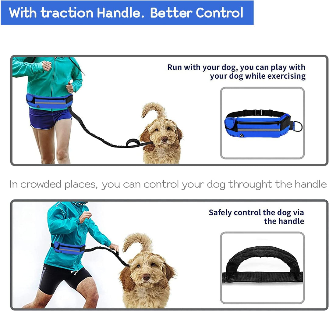 Edipets, Joggingleine Hunde, Freihändig, Laufen, Wandern, Gurtband, Anti-Stress, Reflektierend, 160-