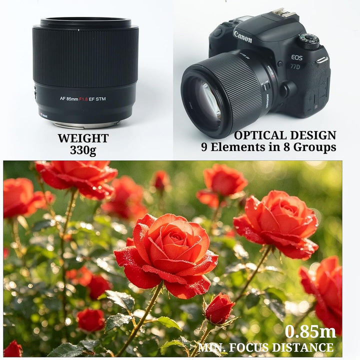 85 mm f/1.8 AF Objektiv Canon EF Porträtobjektiv Vollformat | Autofokus, kompatibel mit EOS 5D Mark