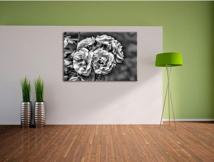 Pixxprint Weiss gelbe Rose Blumen / 100x70cm Leinwandbild bespannt auf Holzrahmen/Wandbild Kunstdruc