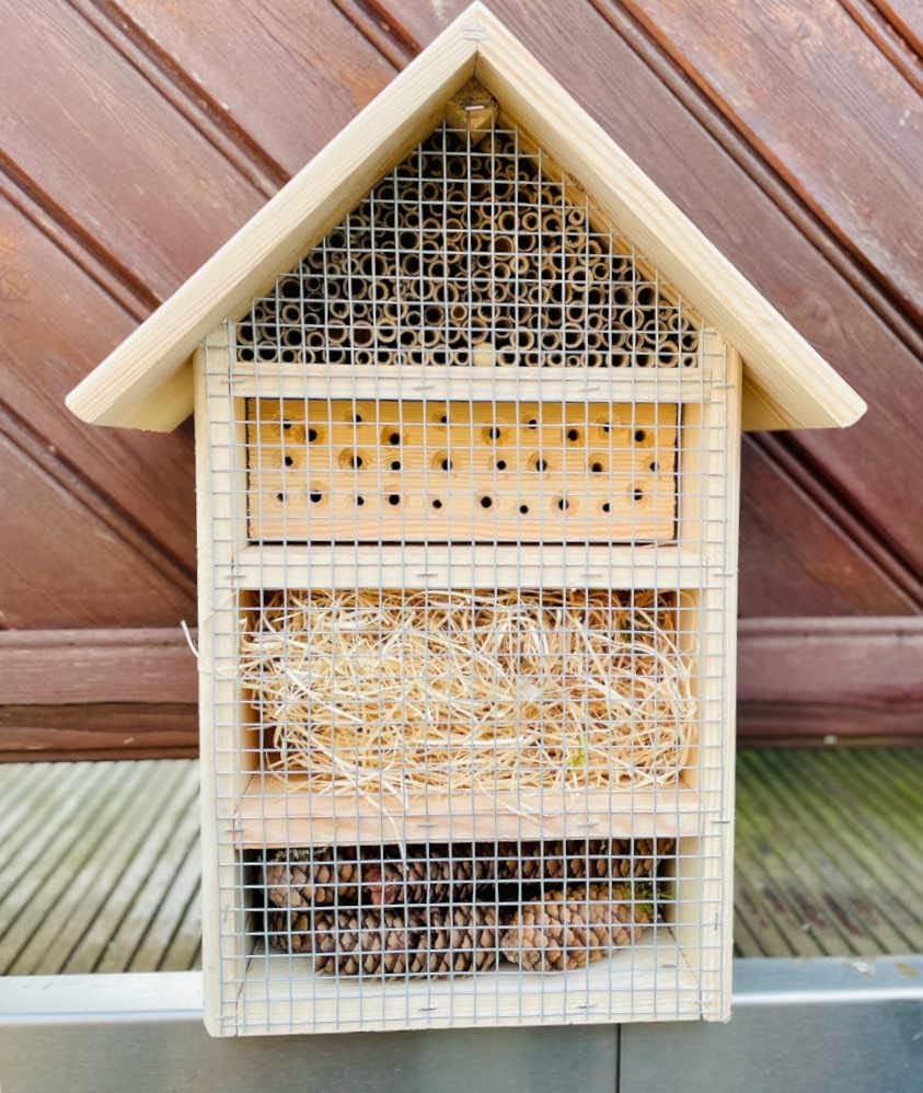 DARLUX massives handgefertigtes L Insektenhotel aus Holz I Haus 51 x 28 x 16 cm (HxBxT) I mit Stände