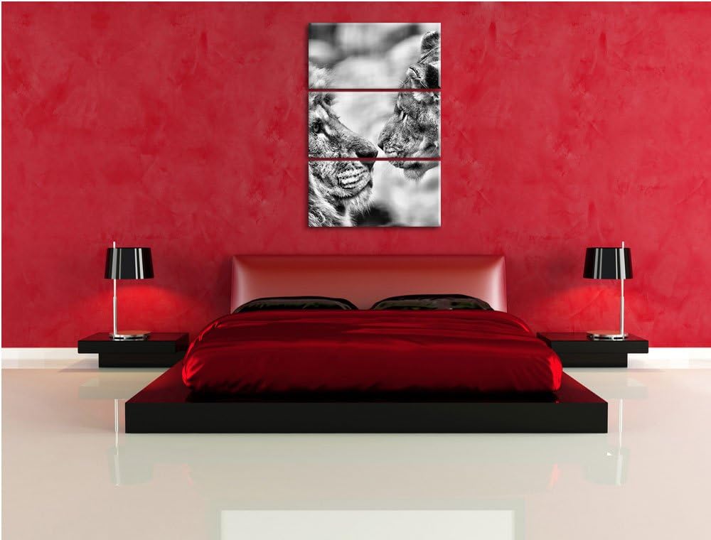 Pixxprint Verliebtes Löwenpaar als Leinwandbild/Grösse: 3 Teilig (120x80) cm/Wandbild/Kunstdruck/fer