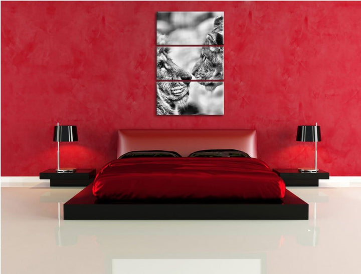 Pixxprint Verliebtes Löwenpaar als Leinwandbild/Grösse: 3 Teilig (120x80) cm/Wandbild/Kunstdruck/fer