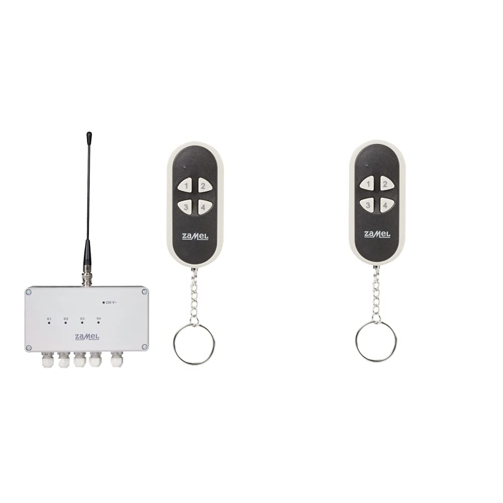 ETERO Funkschalter Set mit Sender, 4-Kanal, RWS-211C/N & Zamel P- 258/4 Fernbedienung Bundle mit Fer