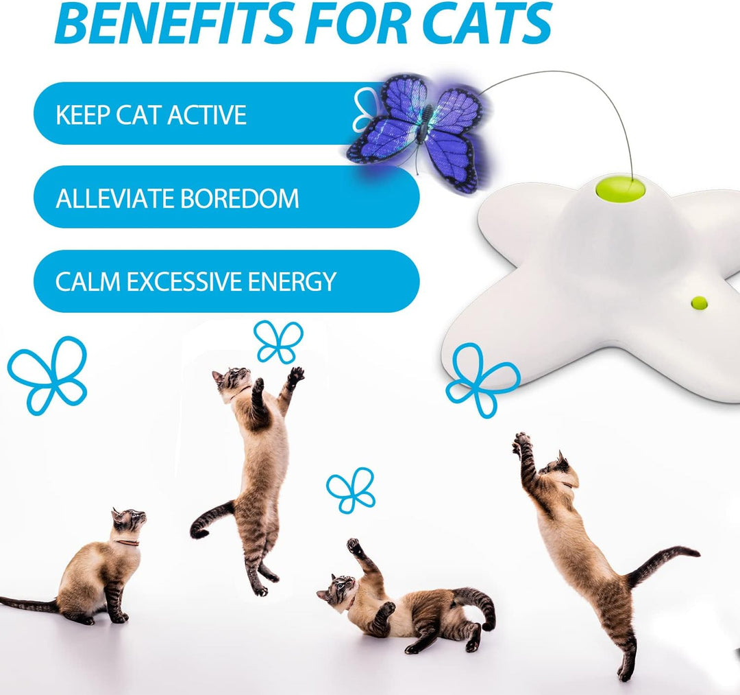 ALL FOR PAWS Katzenspielzeug Interaktive Schmetterling Katze Automatisches Spielzeug Stimulierende K