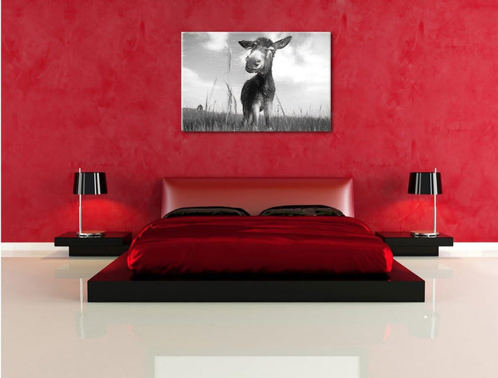 Pixxprint Esel im Feld als Leinwandbild/Grösse: 100x70 / Wandbild/Kunstdruck/fertig bespannt, 100x70
