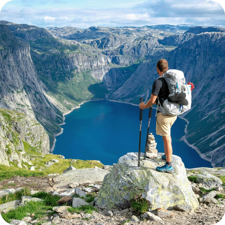 Nordic Walking Stöcke aus Aluminium, Teleskopische Wanderstöcke Verstellbar 64-134 cm, Leichte Walki