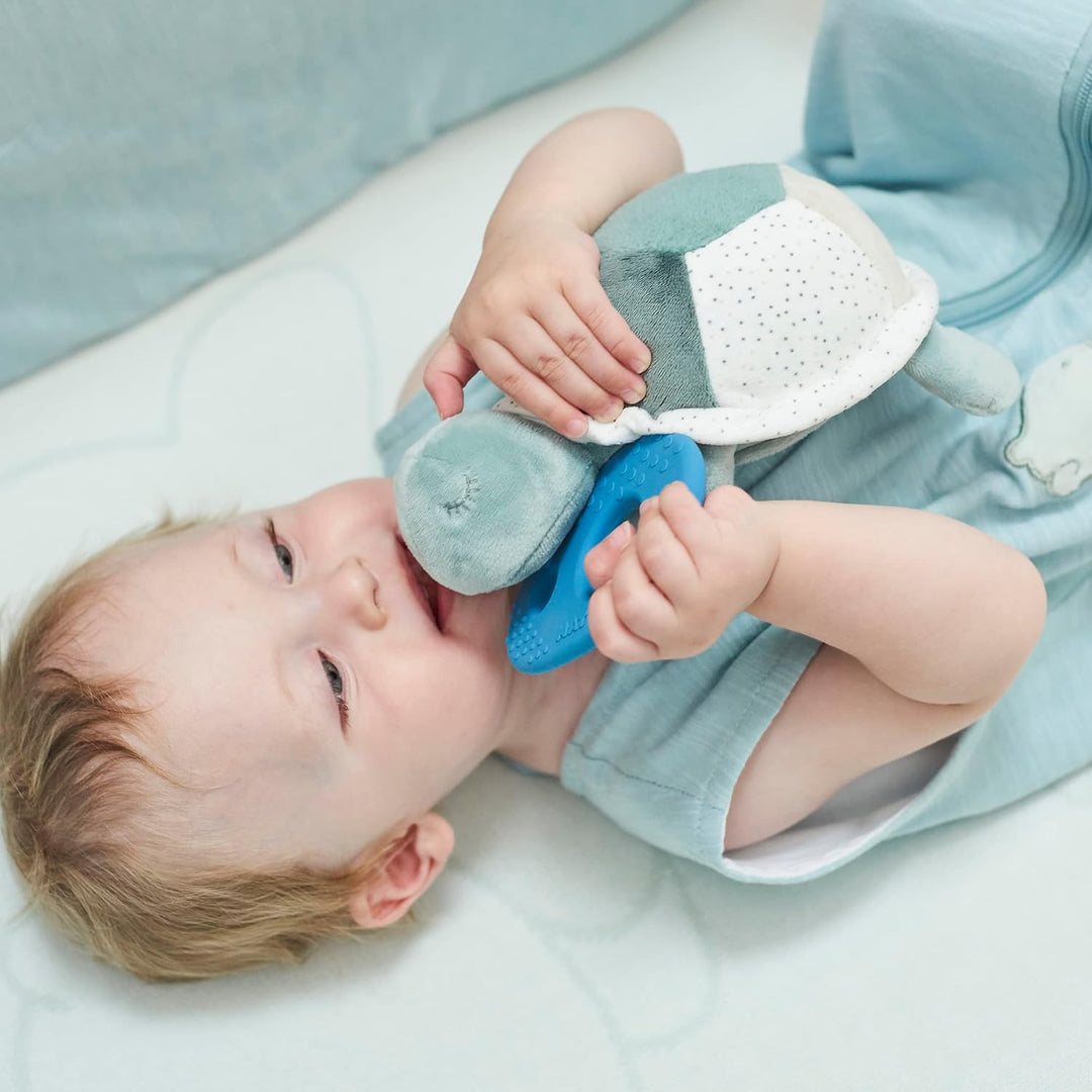 Nattou 875097 Aktivitätenschildkröte, Grün grün Schildkröte, grün Schildkröte