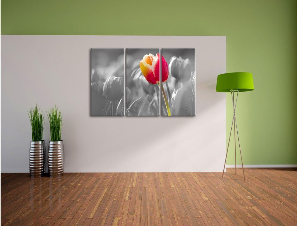 Pixxprint Blühende rote Tulpen als Leinwandbild/Grösse: 3 Teilig (120x80) cm/Wandbild/Kunstdruck/fer