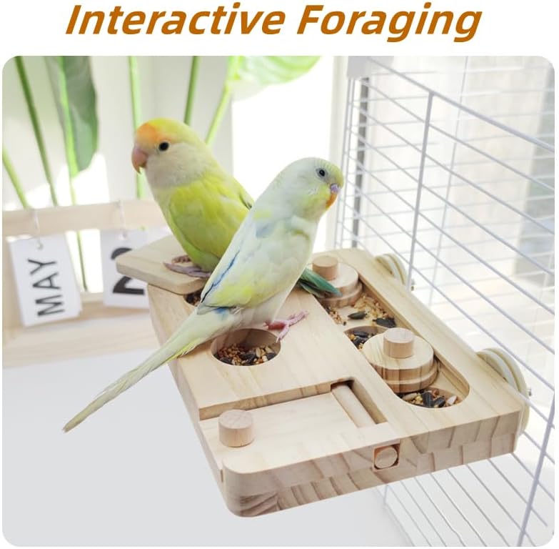 Holz Vogel Futter Puzzle Spielzeug für Papageien,Sittich, Nymphensittich,Sonne Conures-Vögel Interak