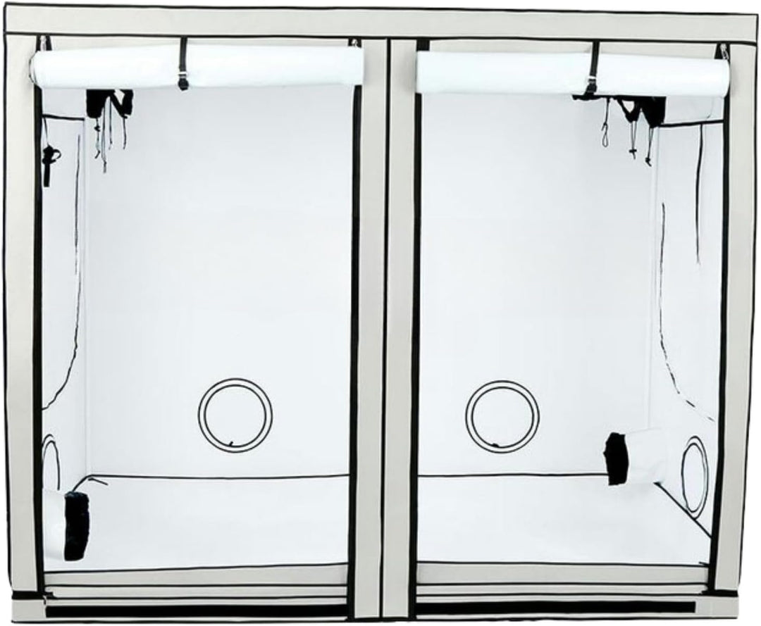 Weedness HOMEbox Ambient - 240x120x200 cm Zuchtzelt Growschrank Growzelt Zuchtbox Gewächszelt Homebo