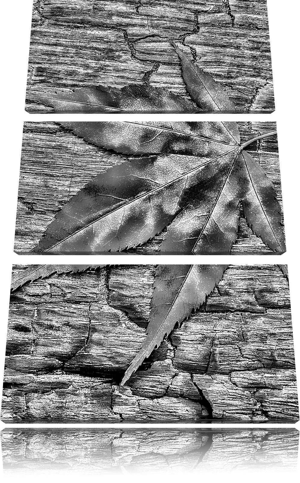 Pixxprint Monocrome, Rotes Blatt auf Holz, Laub, Natur 3-Teiler Leinwandbild 120x80 Bild auf Leinwan
