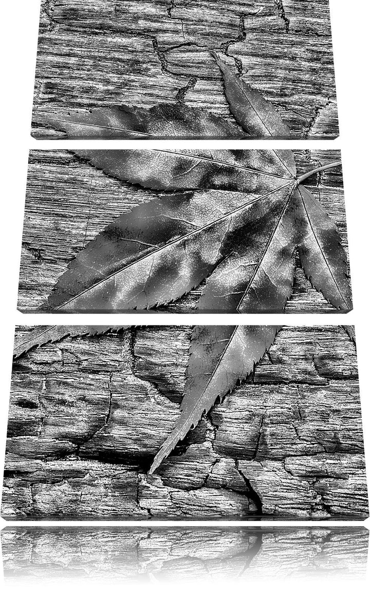 Pixxprint Monocrome, Rotes Blatt auf Holz, Laub, Natur 3-Teiler Leinwandbild 120x80 Bild auf Leinwan