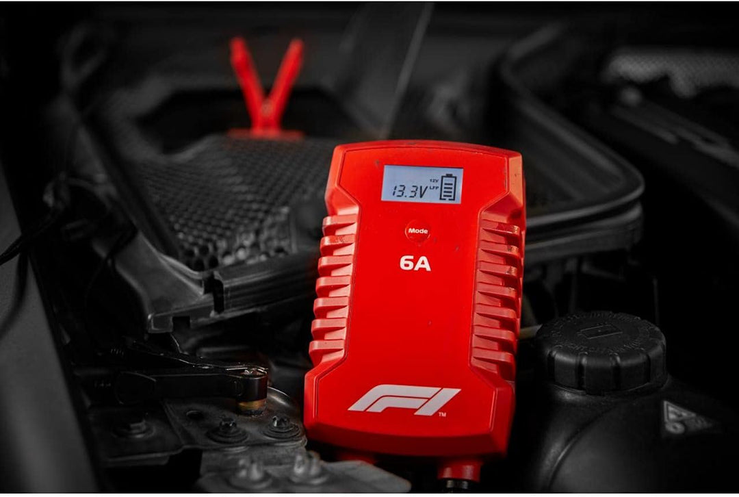 Formula 10794 1 Mikroprozessor Batterie Ladegerät 6 Ampere für 44359 V, 7-stufig,,Power-Supply, Auto