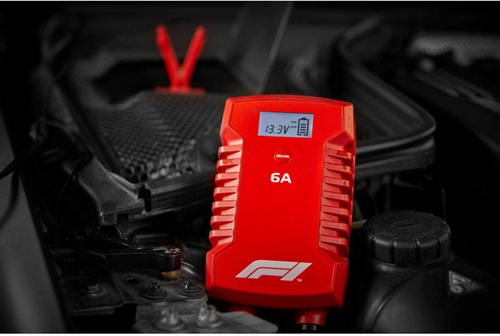 Formula 10794 1 Mikroprozessor Batterie Ladegerät 6 Ampere für 44359 V, 7-stufig,,Power-Supply, Auto