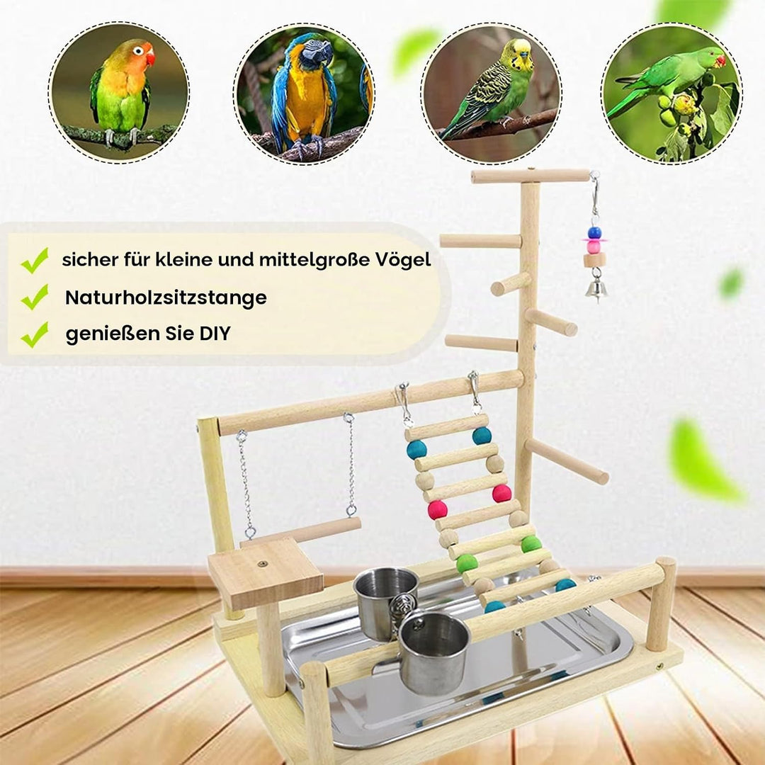 Wellensittich Spielplatz Vogel-Spielplatz mit Feeder-Cup Spielzeug Leiter Erklimmen Schaukel und Tab