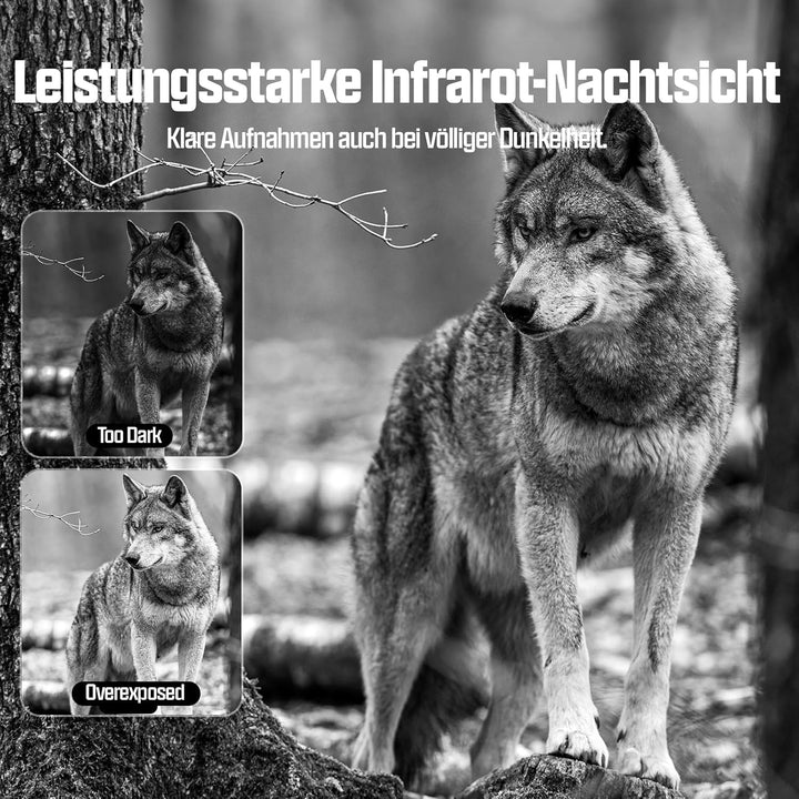 CEYOMUR 4G LTE Wildkamera mit Handyübertragung App, 2K HD Wildkamera mit SIM Karte mit 2.0" LCD-Bild