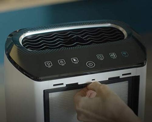 Rowenta XD6074F0 Allergy + Plus Filter, offizielles Zubehör für Pure Air Intensiver Luftreiniger, bi