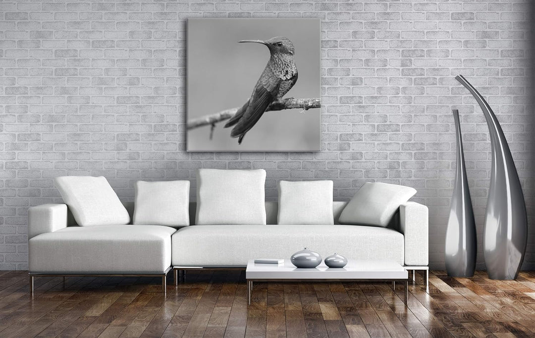 deyoli ruhig sitzender Kolibri Format: 70x70 Effekt: Schwarz&Weiss als Leinwandbild, Motiv auf Echth