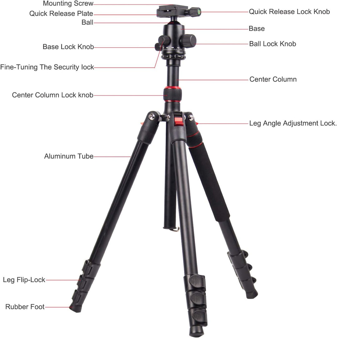 POLAM-FOTO 168cm Kamera Stativ Aluminiumlegierungen Stativ mit Einbeinstativ und 360° Kugelkopf， Rei