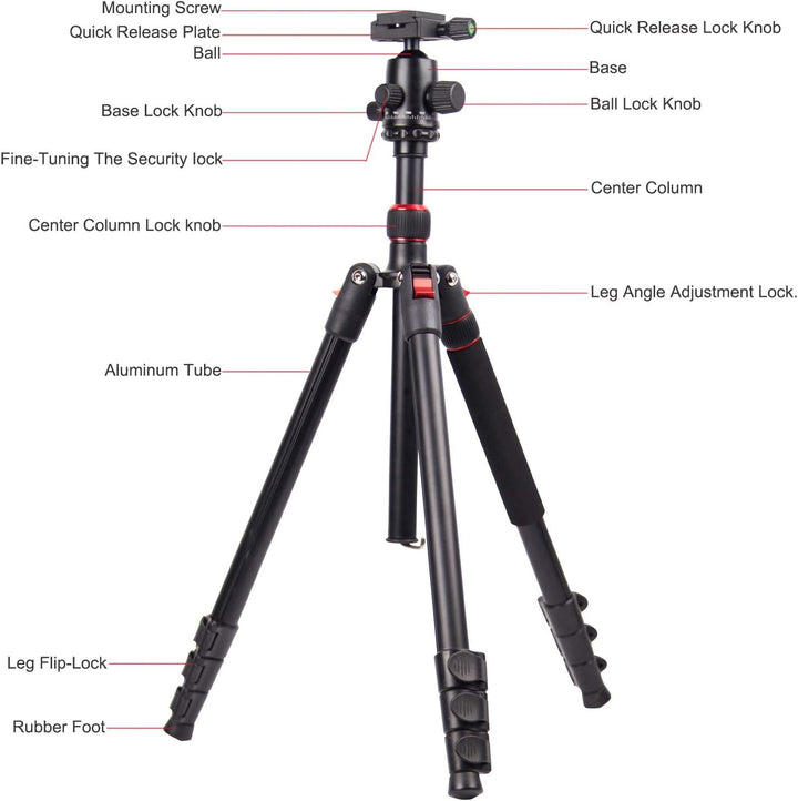 POLAM-FOTO 168cm Kamera Stativ Aluminiumlegierungen Stativ mit Einbeinstativ und 360° Kugelkopf， Rei