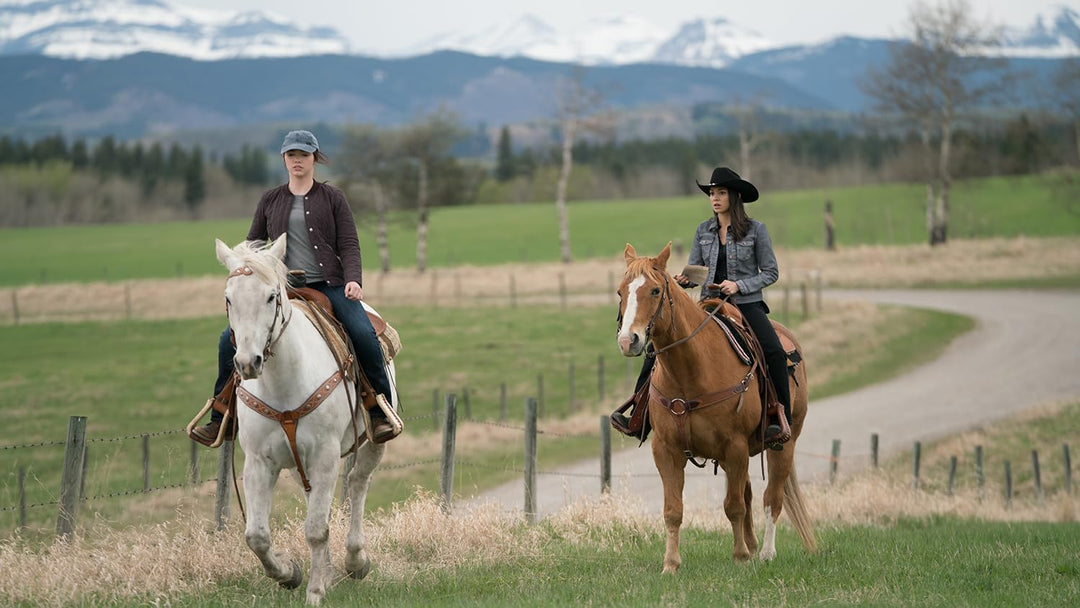 Heartland - Paradies für Pferde, Staffel 11 (Neuauflage) [6 DVDs], DVD
