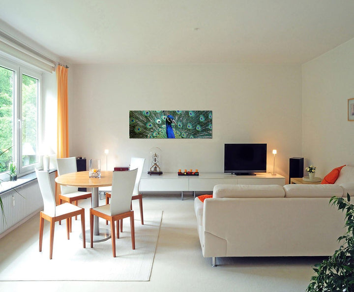 Paul Sinus Art Panoramabild auf Leinwand und Keilrahmen 150x50cm Pfau Federn Grossaufnahme Portrait