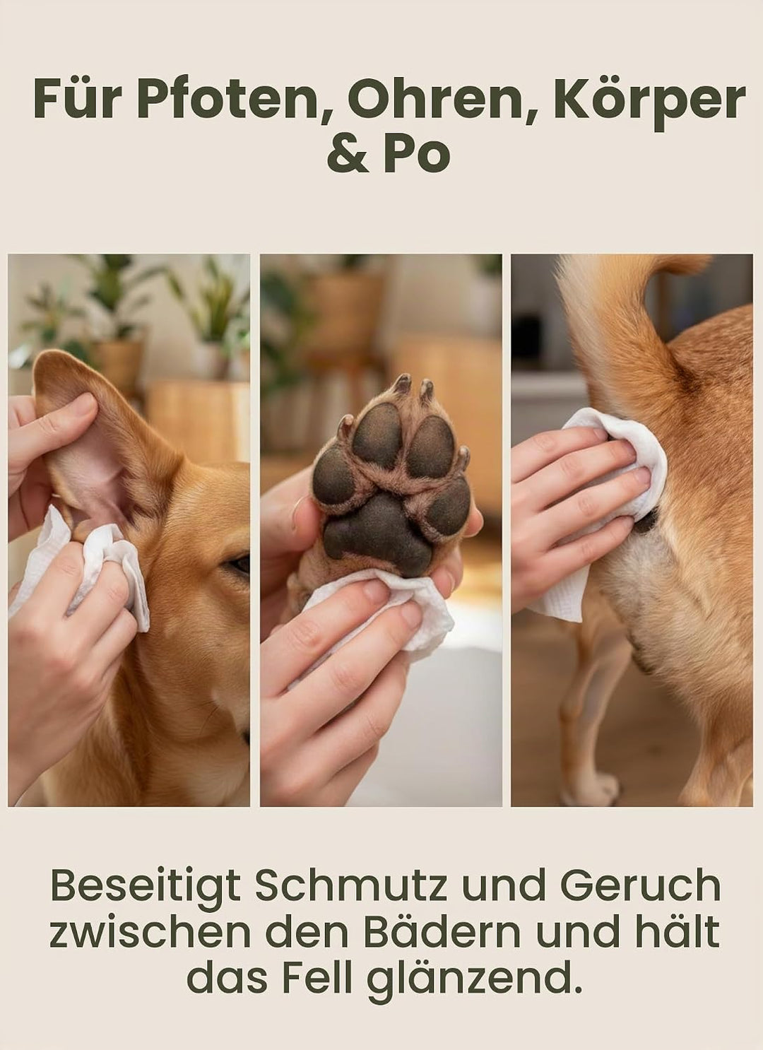 Pogi's Pflegetücher - 400 desodorierende Abwischtücher für Hunde – extragross, biologisch abbaubar,