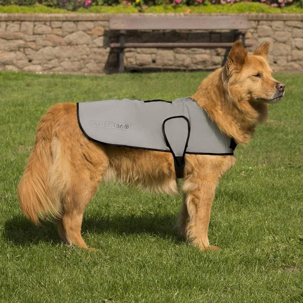 Proviz Sports 100% Reflective High-Vis Waterproof Dog Coat, S