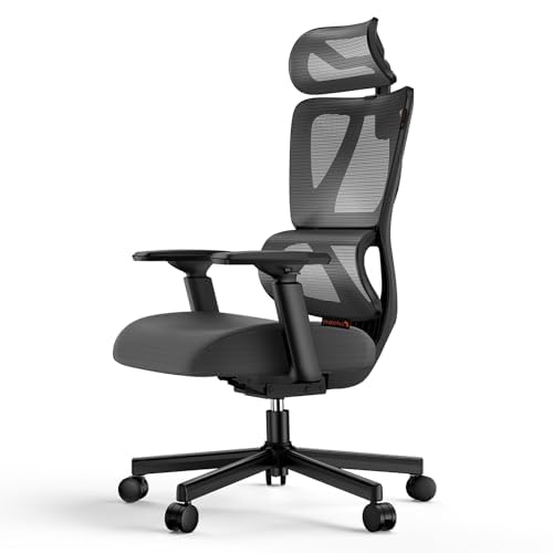 ProtoArc EC100 Bürostuhl Ergonomisch - Höherer Rücken Schreibtischstuhl mit Sitz aus 10CM Dicker Mes
