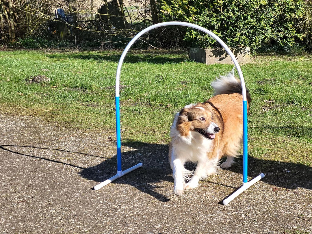 Generisch HOOPERS Agility Combi - Set / 1 Gate / 3 Hoopers Bögen/Gatter/Trennzaun, Hoopers Bogen/aus