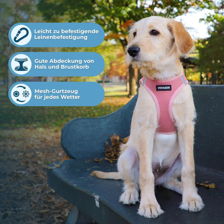 Voyager Step-In Air Hundegeschirr by Best Pet Supplies - All Weather Mesh Step in Vest Harness für k