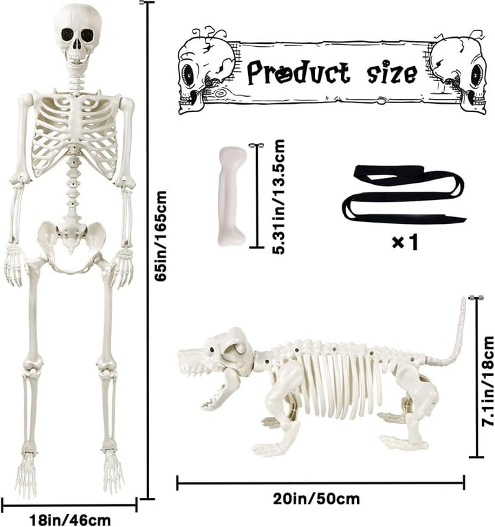 DIYDEC 165cm Halloween Bewegliches Skelett mit Hund, Ganzkörper Hunde Skelett Lebensgrosses Skelett