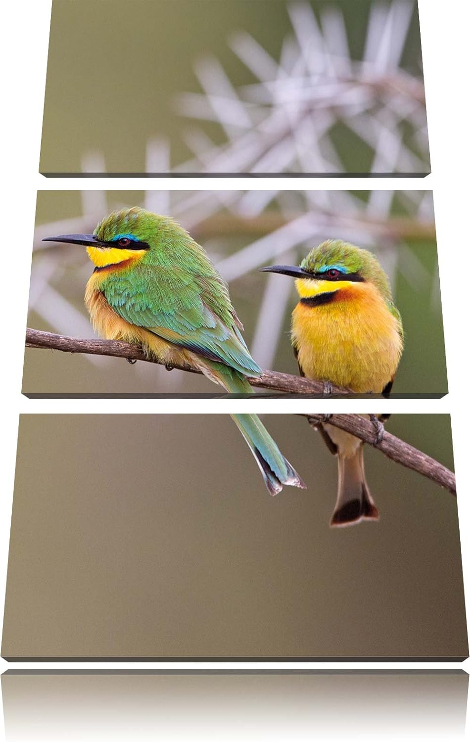 Pixxprint Vögel auf AST als Leinwandbild/Grösse: 3 Teilig (120x80) cm/Wandbild/Kunstdruck/fertig bes