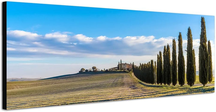 Paul Sinus Art Panoramabild auf Leinwand und Keilrahmen 150x50cm Italien Toskana Landschaft Zypresse