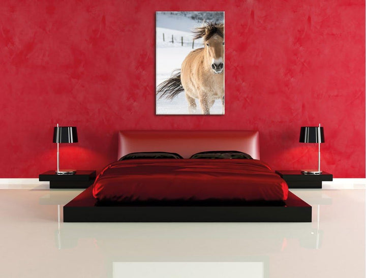 Pferd im Schnee, Format: 100x70 auf Leinwand, XXL riesige Bilder fertig gerahmt mit Keilrahmen, Kuns