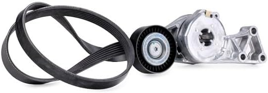 SKF VKMA 31111 Spannrollensatz für Nebentrieb