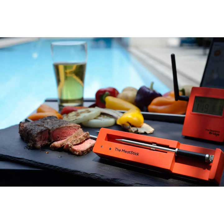 The MeatStick BR651 Set 3: mit WiFi Bridge, Ladegerät und Transporttasche