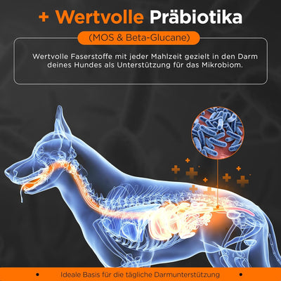 Hypoallergen | Getreidefreies Hundefutter trocken | Lamm & Reis | Magen schonend für ernährungssensi
