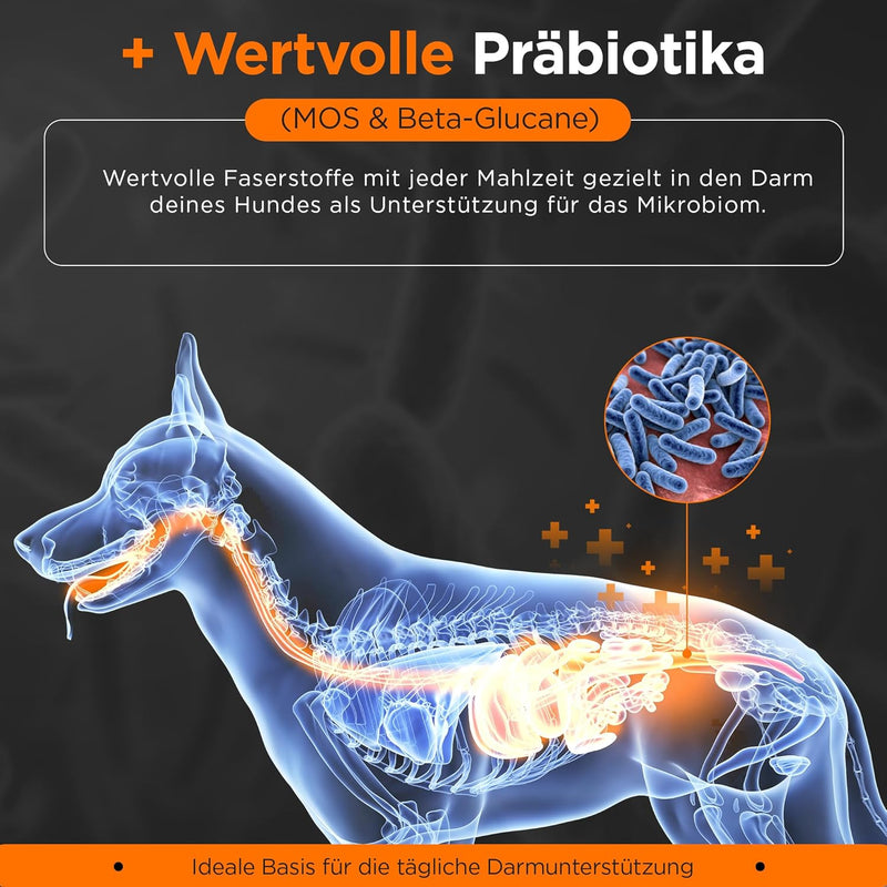 Hypoallergen | Getreidefreies Hundefutter trocken | Lamm & Reis | Magen schonend für ernährungssensi