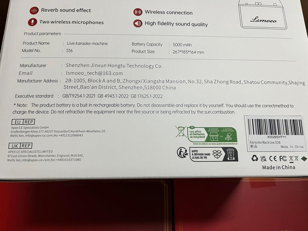 Tragbare Karaoke Maschine Anlage mit 2 Drahtlosen Mikrofonen für Erwachsene & Kinder Bluetooth Lauts