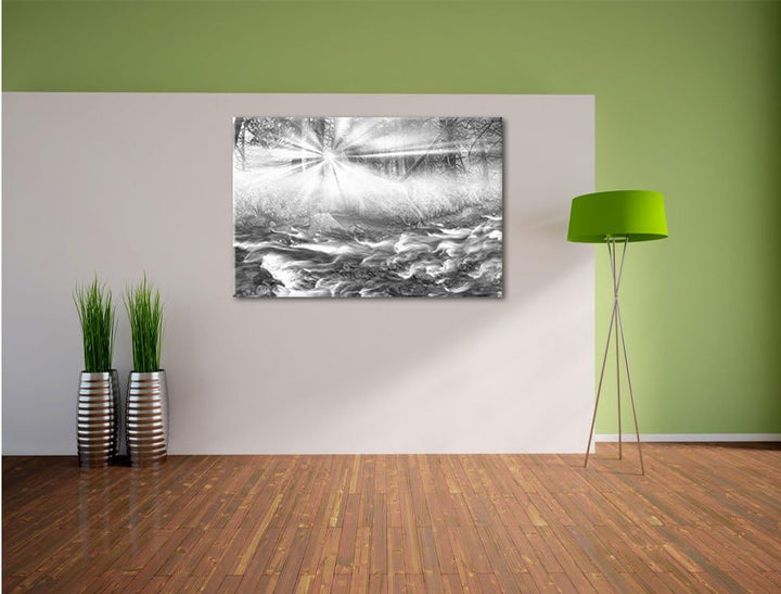 Pixxprint Nebeldickicht im Wald Kunst B&W, Format: 100x70 auf Leinwand, 100x70