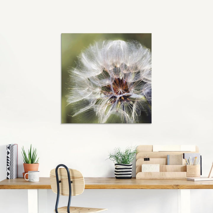 ARTland Glasbilder Wandbild Glas Bild einteilig 50 x 50 cm Pflanzen Mikro Makro Blumen Pusteblume Lö