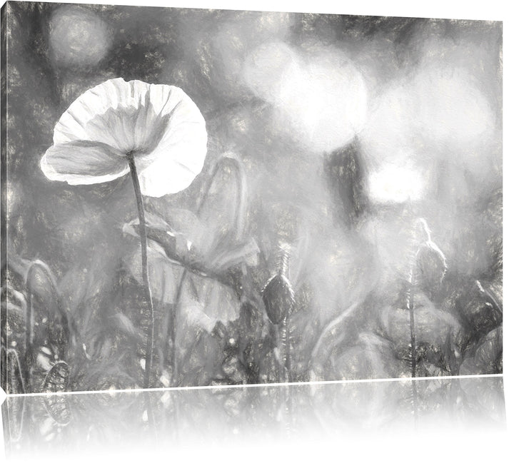 Pixxprint Kalifornischer Mohn im Frühling Kunst Kohle Effekt, Format: 100x70 auf Leinwand, 100x70