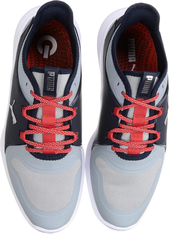 PUMA Herren Ignite FASTEN8 Golfschuh, Quarry Silver-Navy Blazer, 41 EU