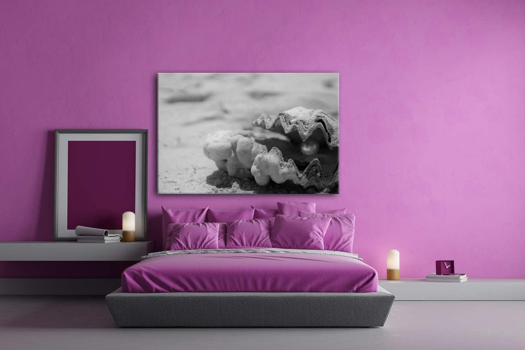 deyoli gestrandete Perlenmuschel Format: 80x60 Effekt: Schwarz&Weiss als Leinwand, Motiv fertig gera