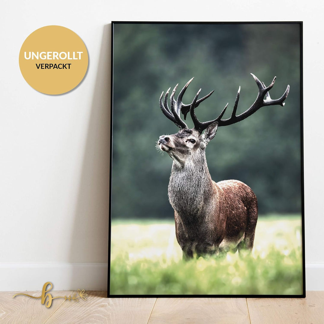 Premium Poster Set | Deko Bilder Wohnzimmer Modern | Schlafzimmer Bild für die Wand | (Wald Hirsch,
