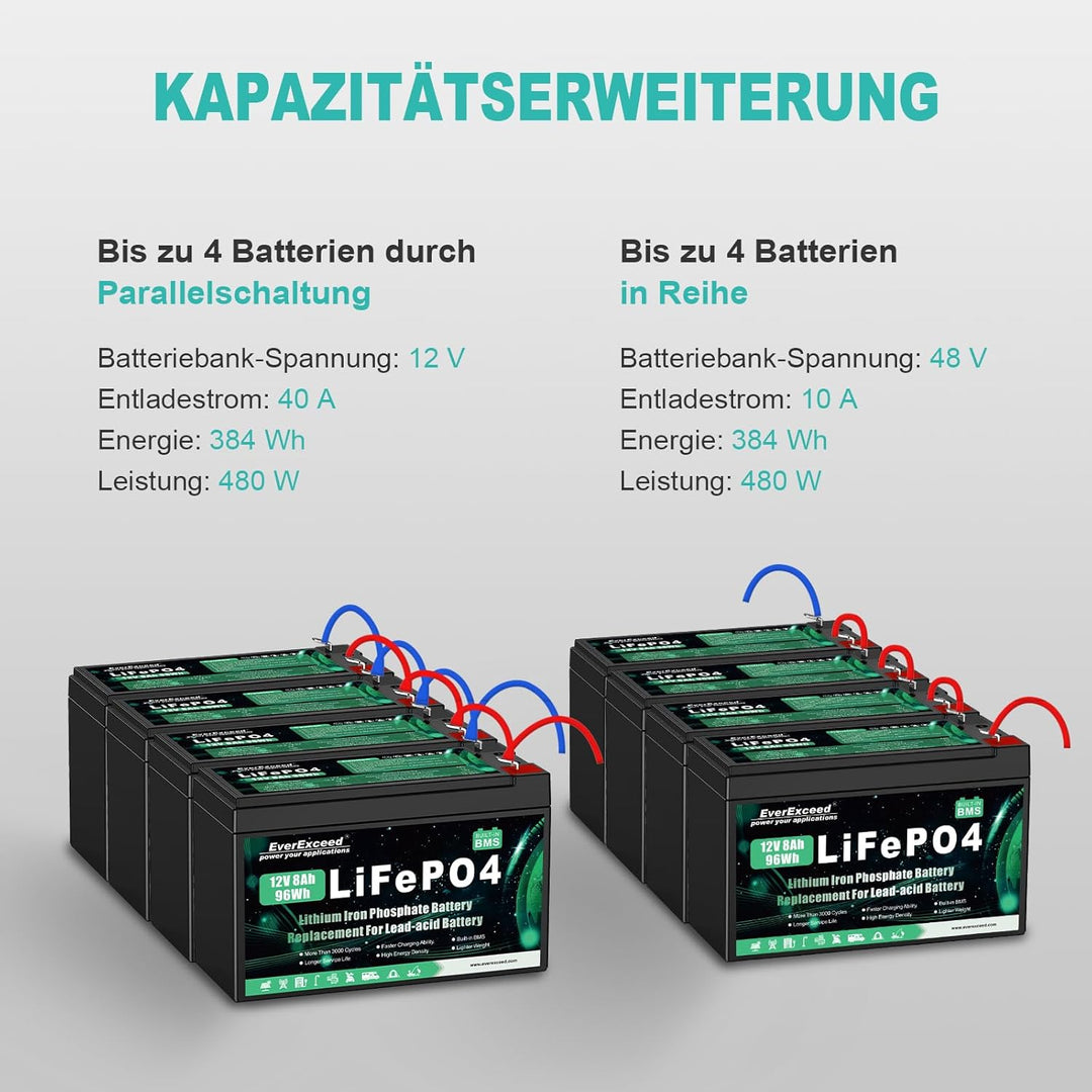 12V 8Ah Wiederaufladbare Lithium Batterie, 12v Batterie mit integriertem BMS, 3000+ Tiefe Zyklen Bat